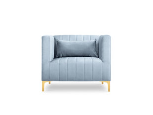 Кресло Micadoni Home Annite, светло-синее/золотистое цена и информация | Кресла для отдыха | hansapost.ee
