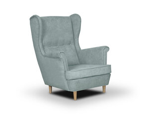 Кресло Bellezza Elite, светло-зеленое цена и информация | Кресла для отдыха | hansapost.ee