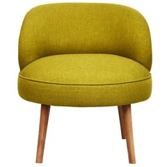 Кресло Artie Nice, светло-зеленое цена и информация | Кресла для отдыха | hansapost.ee