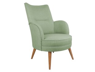Кресло Artie Victoria, зеленое цена и информация | Кресла для отдыха | hansapost.ee