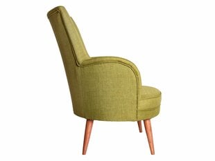 Кресло Artie Victoria, зеленое/коричневое цена и информация | Кресла для отдыха | hansapost.ee