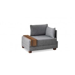 Tugitool Artie Fly, parem nurk, pruun price and information | Armchairs | hansapost.ee