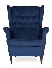 Кресло TMS Prince, синее цена и информация | Кресла для отдыха | hansapost.ee