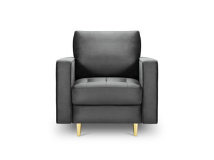 Кресло Milo Casa Santo, темно-серое/золотистого цвета цена и информация | Кресла | hansapost.ee