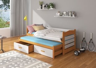 Lastevoodi Adrk Furniture Tiarro 80x180 cm, pruun/hall цена и информация | Детские кровати | hansapost.ee
