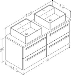 Vannitoakapp valamu ja lauaga 120 cm, valge III hind ja info | Vannitoakapid | hansapost.ee