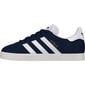 Laste tossud Adidas Originals Gazelle Jr. BY9144, 55823 цена и информация | Spordijalatsid lastele | hansapost.ee