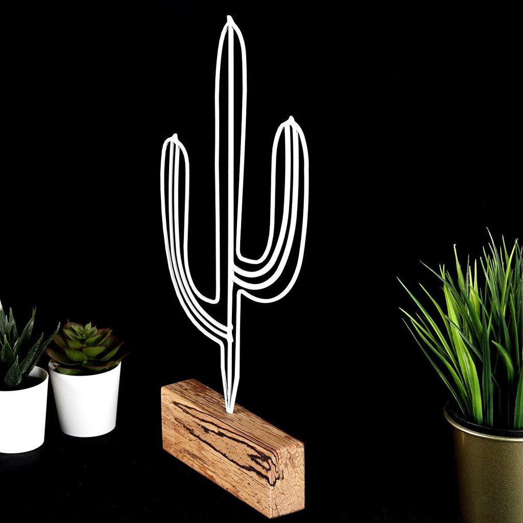 Dekoratiivne kuju Cactus White цена и информация | Sisustuselemendid | hansapost.ee