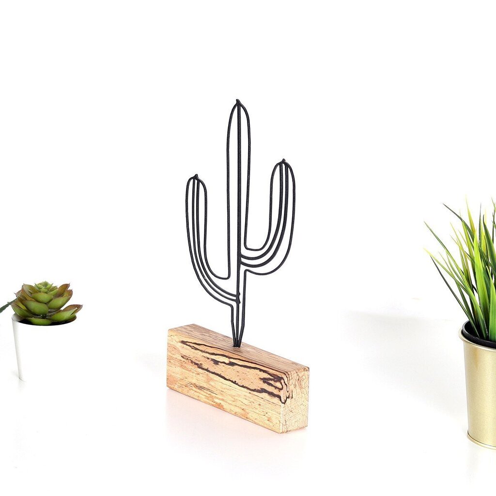 Dekoratiivne kuju Cactus Mini Black цена и информация | Sisustuselemendid | hansapost.ee