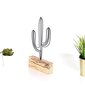 Dekoratiivne kuju Cactus Mini Black hind ja info | Sisustuselemendid | hansapost.ee