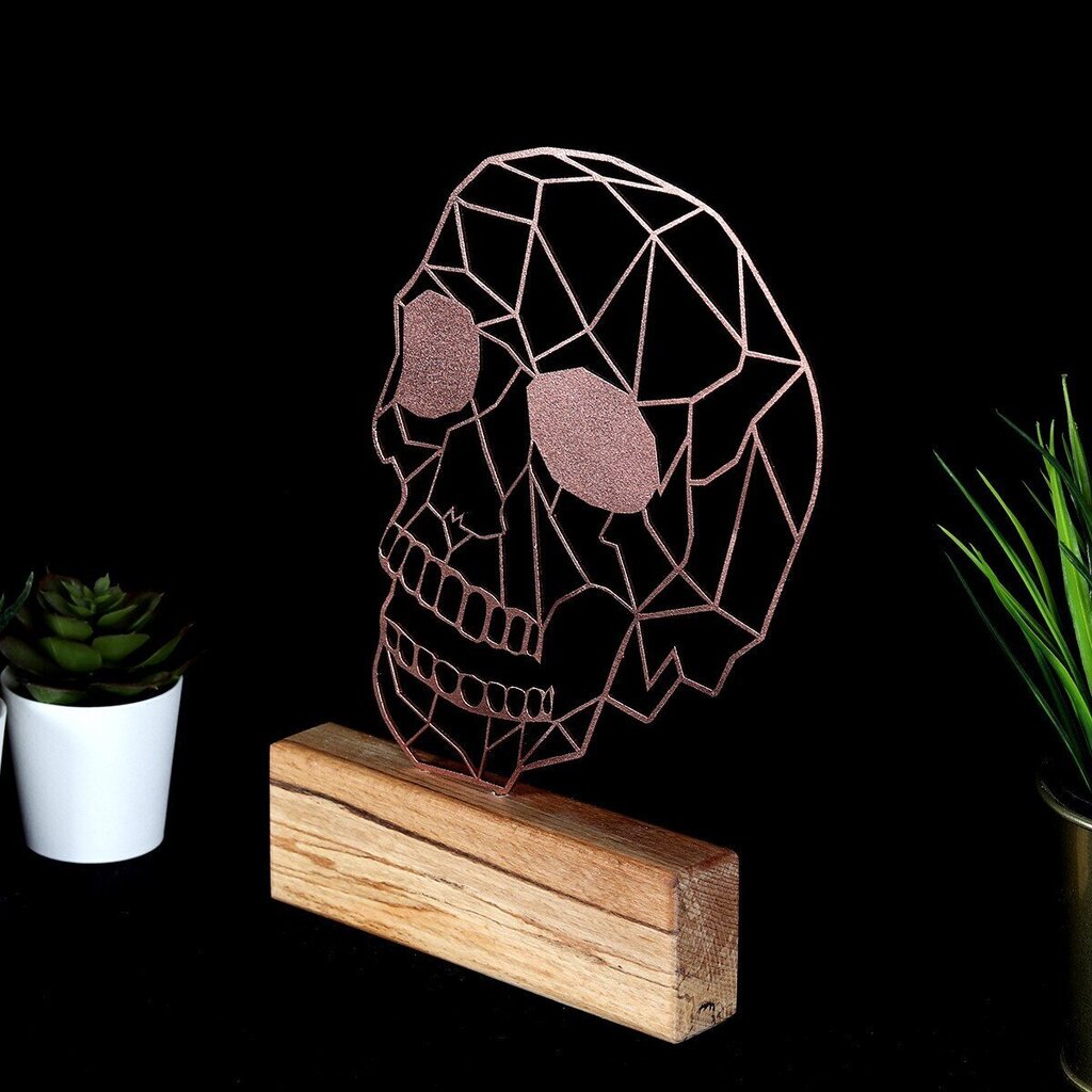 Dekoratiivne kuju Skull Bronze цена и информация | Sisustuselemendid | hansapost.ee