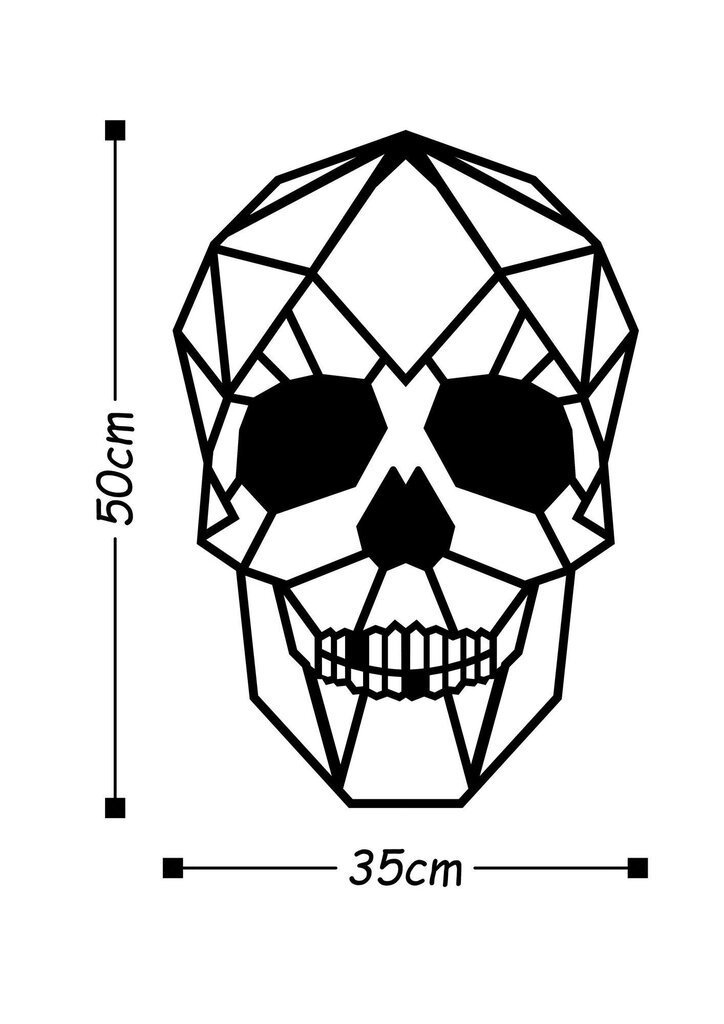 Metallist seinadekoratsioon Skull, 35x50 cm цена и информация | Sisustuselemendid | hansapost.ee