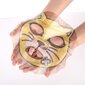 Rahustav kangasmask Skin79 Animal Angry Cat 23 g hind ja info | Näomaskid ja silmamaskid | hansapost.ee