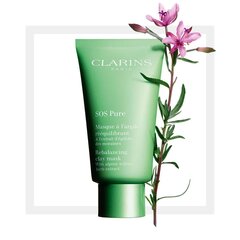 Puhastav näomask-savi Clarins SOS Pure Rebalancing 15 ml цена и информация | Маски для лица, патчи для глаз | hansapost.ee