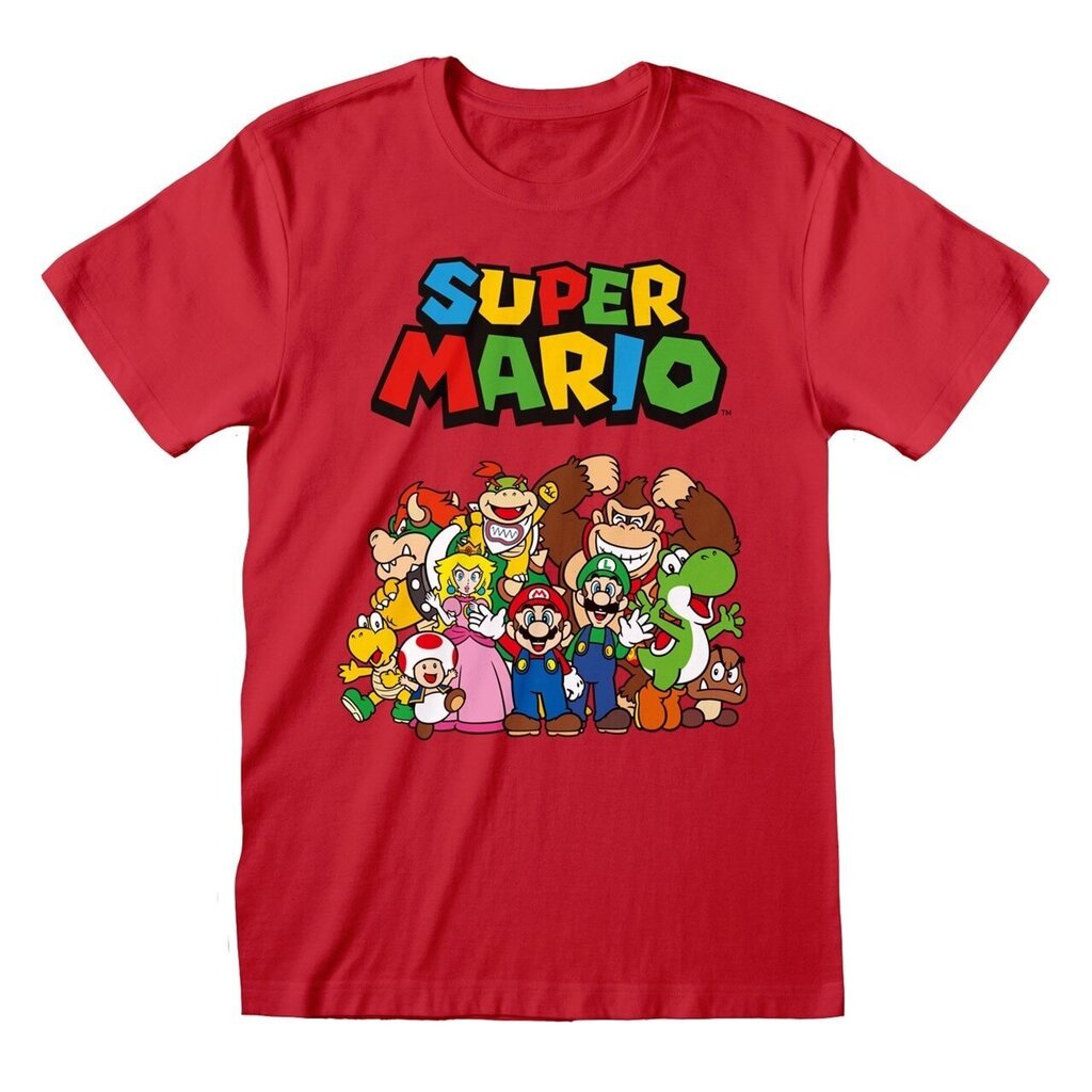 Nintendo Super Mario - Main Character Group цена и информация | Fännitooted mänguritele | hansapost.ee