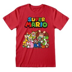 Nintendo Super Mario - Main Character Group цена и информация | Атрибутика для игроков | hansapost.ee