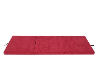 Складной матрас Hobbygarden Ben L, 180x65 см, красный цена и информация | Матрасы | hansapost.ee