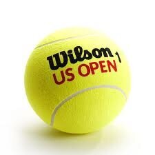 Уличные теннисные мячи Wilson US Open цена и информация | Товары для большого тенниса | hansapost.ee