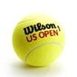 Tennisepallid Wilson US Open цена и информация | Välitennise tooted | hansapost.ee