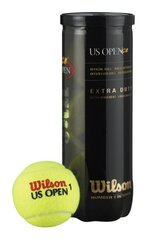 Уличные теннисные мячи Wilson US Open цена и информация | Товары для большого тенниса | hansapost.ee