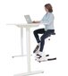 Velotrenažöör Gymstick Desk hind ja info | Velotrenažöörid | hansapost.ee