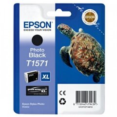 Epson C13T15714010, черный цена и информация | Картриджи и тонеры | hansapost.ee