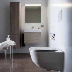 Seinale paigaldatav WC pott Laufen Pro New Slim aeglaselt sulguva kaanega hind ja info | Laufen Remondikaubad, sanitaartehnika ja kütteseadmed | hansapost.ee