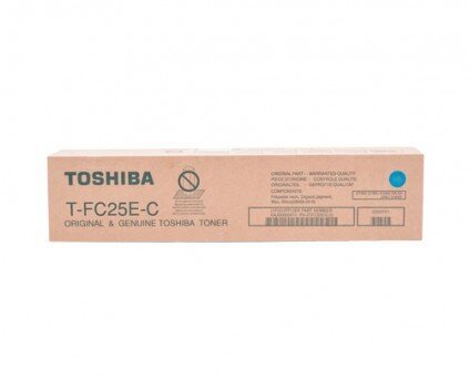 Toshiba 6AJ00000072 цена и информация | Laserprinteri toonerid | hansapost.ee