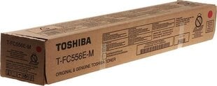 Toshiba 6AK00000426 цена и информация | Toshiba Малая техника для кухни | hansapost.ee