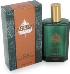 Kölnivesi Aspen EDC meestele, 118 ml hind ja info | Aspen Parfüümid | hansapost.ee