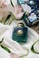 Amouage Figment EDP naistele 100 ml hind ja info | Parfüümid naistele | hansapost.ee