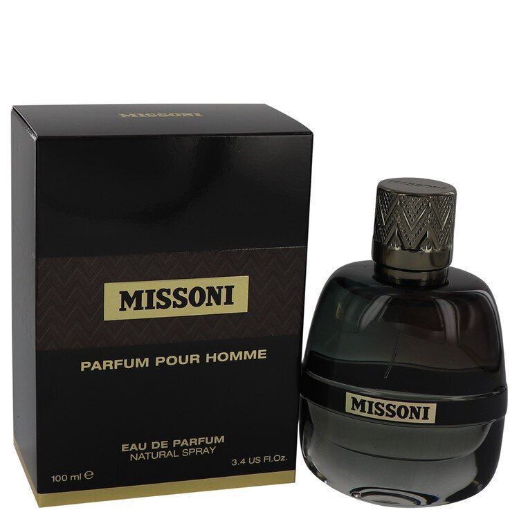 Parfüümvesi Missoni Pour Homme, 100 ml hind ja info | Parfüümid naistele | hansapost.ee