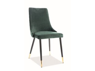 Комплект из 2-х стульев Signal Meble Piano, зеленый цена и информация | Стулья для кухни и столовой | hansapost.ee
