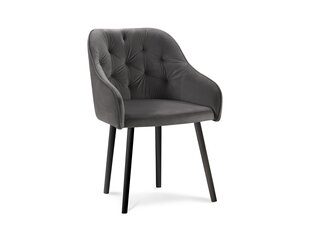 Комплект из 2-ух стульев Milo Casa Luisa, темно-серый цена и информация | Стулья для кухни и столовой | hansapost.ee