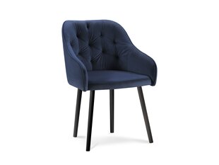 Комплект из 2-х стульев Milo Casa Luisa, темно - синий цена и информация | Milo Casa Кухонная мебель | hansapost.ee