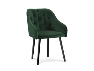 Комплект из 2-ух стульев Milo Casa Luisa, темно зеленый цена и информация | Стулья для кухни и столовой | hansapost.ee
