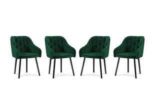 Комплект из 4-х стульев Milo Casa Luisa, зеленый цена и информация | Стулья для кухни и столовой | hansapost.ee