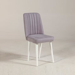Обеденный стул Kalune Design 869, белый/светло-серый цена и информация | Стулья для кухни и столовой | hansapost.ee