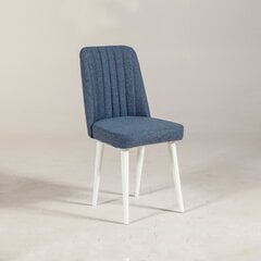 Обеденный стул Kalune Design 869, белый/синий цена и информация | Стулья для кухни и столовой | hansapost.ee