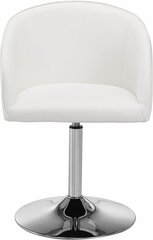 Комплект из 2-х стульев Notio Living Willy, белый цена и информация | Стулья для кухни и столовой | hansapost.ee