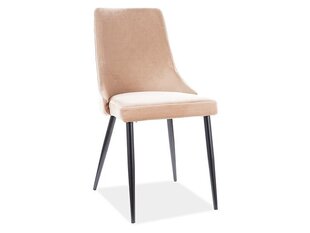 Комплект из 2-х стульев Signal Meble Piano B, бежевый цена и информация | Стулья для кухни и столовой | hansapost.ee