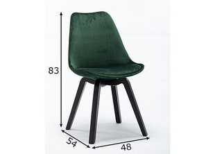 Комплект стульев 2шт., зелёный цена и информация | Стулья для кухни и столовой | hansapost.ee