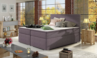 Кровать Divalo BD08, 180x200 см, фиолетовая цена и информация | Кровати | hansapost.ee
