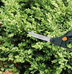 Газонные ножницы Fiskars S50 цена и информация | Садовые инструменты | hansapost.ee