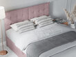 Voodi Mazzini Beds Echaveria 140x200 cm, roosa hind ja info | Voodid | hansapost.ee