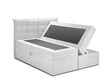 Voodi Mazzini Beds Echaveria 180x200 cm, helehall hind ja info | Voodid | hansapost.ee