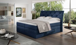 Кровать NORE Mirabel 08, 160x200 см, синяя цена и информация | Кровати | hansapost.ee