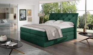 Кровать NORE Mirabel 09, 160x200 см, зеленая цена и информация | Кровати | hansapost.ee