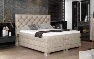 Электрическая кровать NORE Clover 01, 140x200, песочного цвета цена и информация | Кровати | hansapost.ee