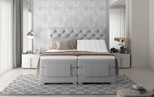 Электрическая кровать NORE Clover 06, 160x200, серая цена и информация | Кровати | hansapost.ee